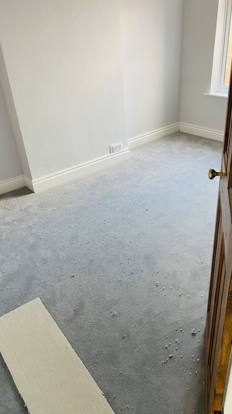 Blue-grey carpet in a bare room