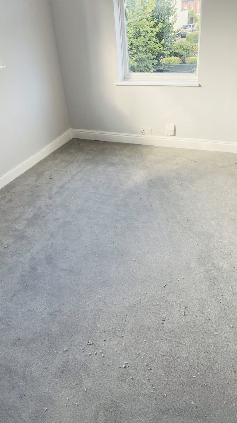 Bedroom with a light grey carpet